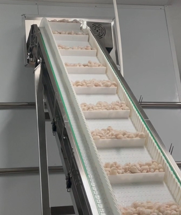 SS 304 Weigher παγωμένο βάρος 200g~1500g στόχων συστημάτων συσκευασίας εργαστηρίων γαρίδων μηχανών συσκευασίας