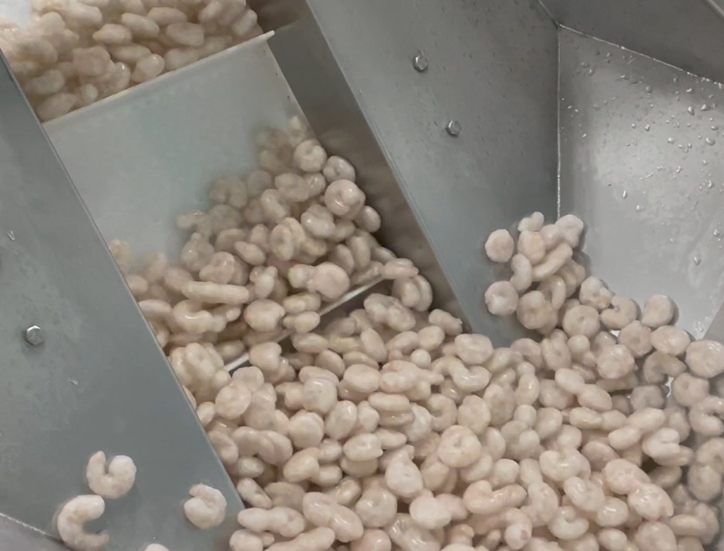 SS 304 Weigher παγωμένο βάρος 200g~1500g στόχων συστημάτων συσκευασίας εργαστηρίων γαρίδων μηχανών συσκευασίας