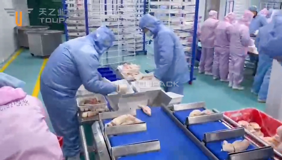 Αυτόματη ζώνη τύπου πολυκεφαλής συνδυασμός ζυγαστήρα τσεκ ζυγαστήρα για τα πόδια του γουρουνιού