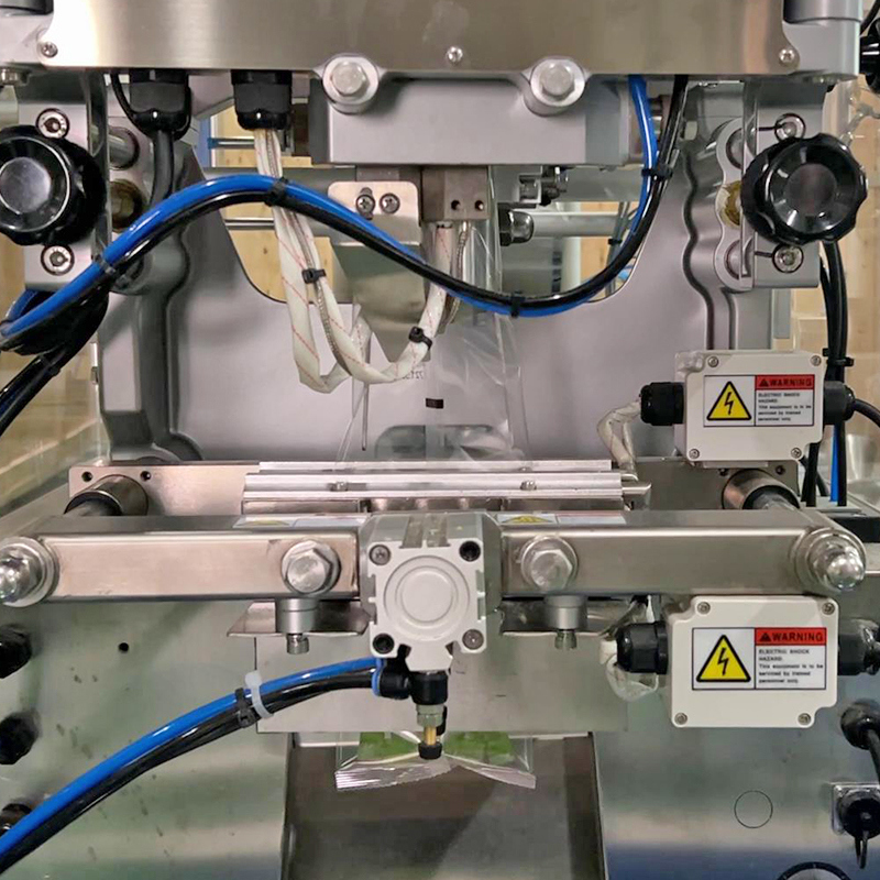 200g 500g Granule Packing Machine Full Automatic VFFS Weighing Seal Pouch Bag Packaging with 60~100BPM Speed and 10