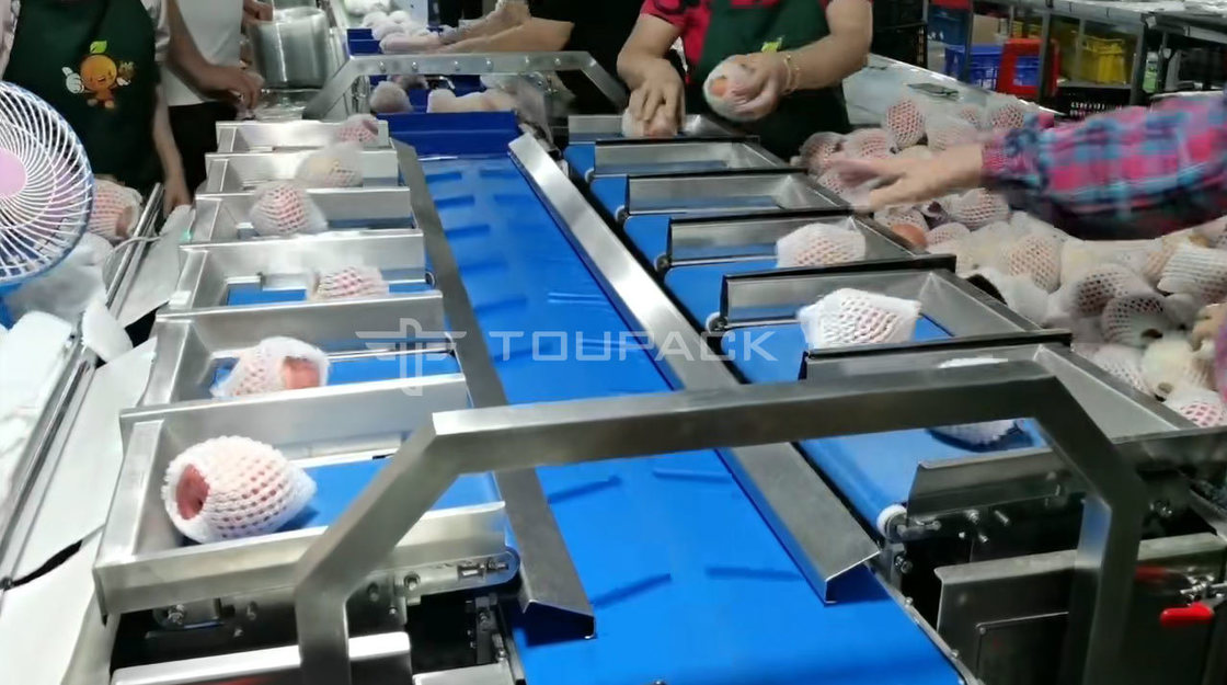 Μηχανή Συσκευασίας Ρολού Μαξιλαριού Αχλάδι Μήλο Ζυγιστική Κλίμακα Συνδυασμού Ζυγιστής Συνδυασμού Φρούτων Μηχανή Συσκευασίας Υψηλής Ακρίβειας