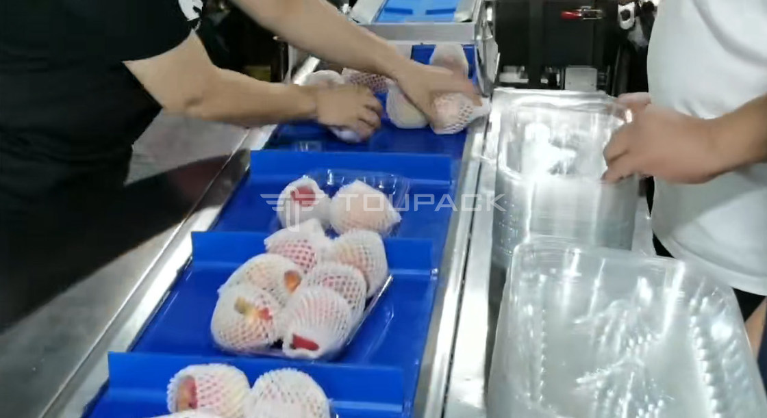 Μηχανή Συσκευασίας Ρολού Μαξιλαριού Αχλάδι Μήλο Ζυγιστική Κλίμακα Συνδυασμού Ζυγιστής Συνδυασμού Φρούτων Μηχανή Συσκευασίας Υψηλής Ακρίβειας