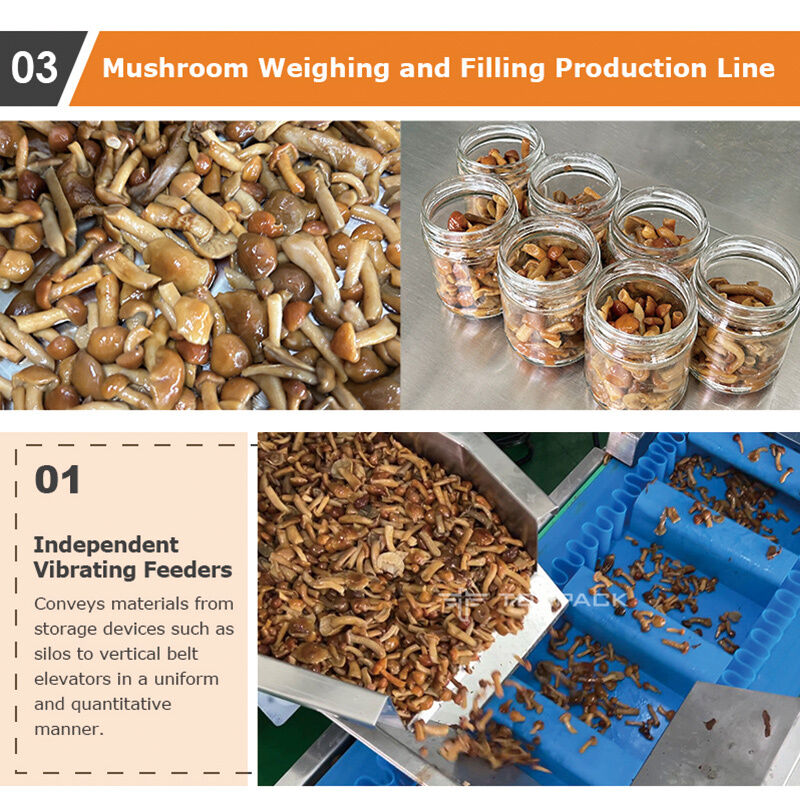 Αυτόματη Γραμμή Συσκευασίας Δίσκων με Κοχλιοφόρο Σύστημα Τροφοδοσίας και Ζυγιστή Πολλαπλών Κεφαλών για Κρέας, Σαλάτες και Έτοιμα Γεύματα