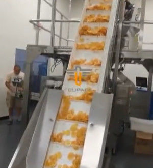 Θερμοκρασία ανελκυστήρων κάδων τύπων αλυσίδων TOUPACK 20m/Min ανθεκτική