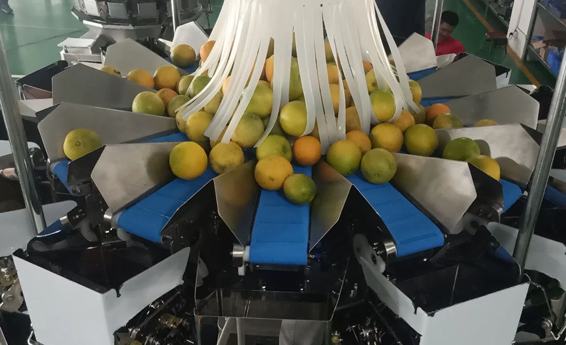 14 επικεφαλής Weigher Multihead MCU/PLC μηχανή συσκευασίας για τα πορτοκάλια φρούτων Weiging