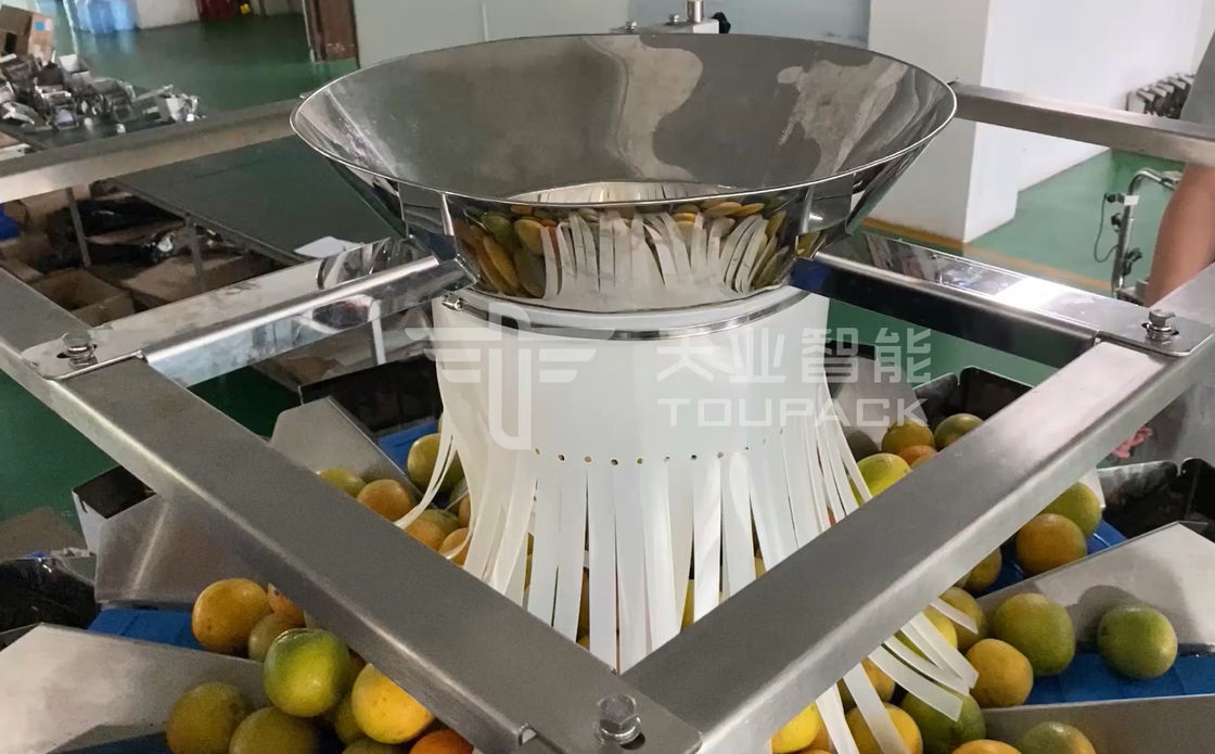 14 επικεφαλής Weigher Multihead MCU/PLC μηχανή συσκευασίας για τα πορτοκάλια φρούτων Weiging