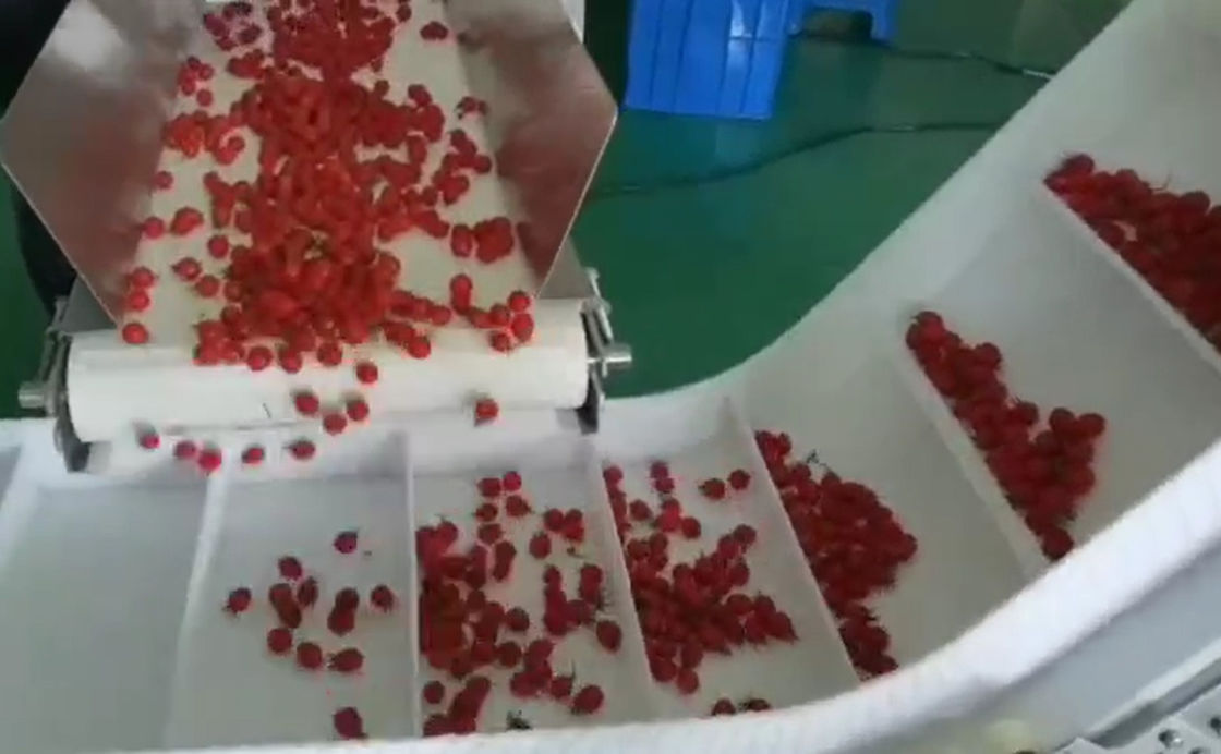 Weigher SUS304 Multihead αυτόματο σύστημα ζυγίσματος και συσκευασίας για παγωμένα τα κεράσι φρούτα στα κιβώτια
