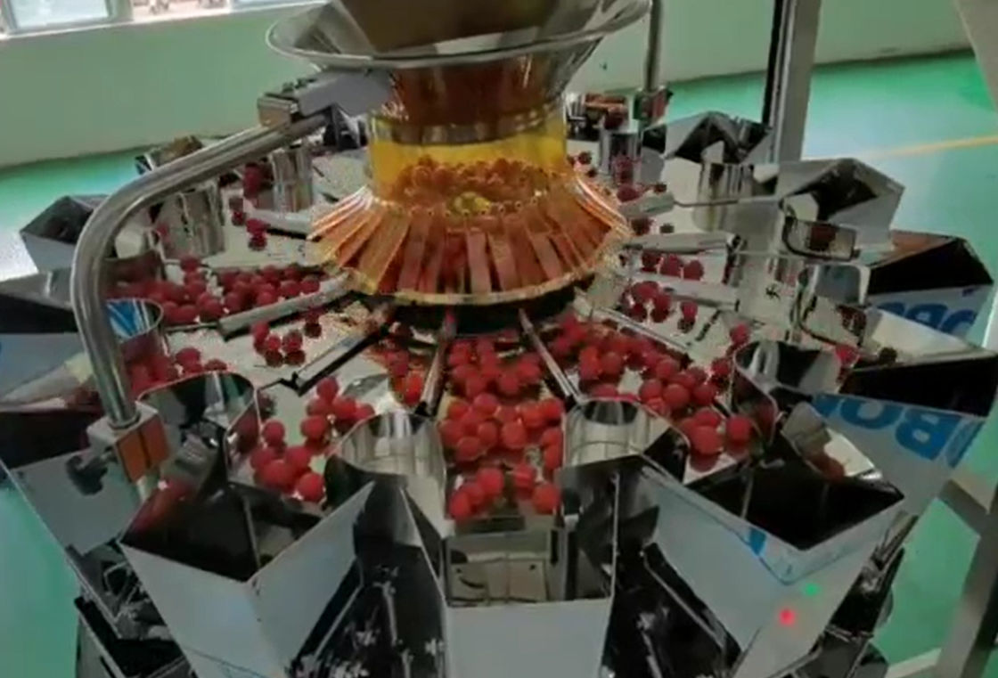 Weigher SUS304 Multihead αυτόματο σύστημα ζυγίσματος και συσκευασίας για παγωμένα τα κεράσι φρούτα στα κιβώτια