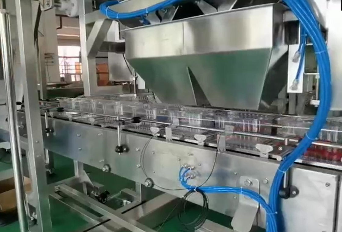 Weigher SUS304 Multihead αυτόματο σύστημα ζυγίσματος και συσκευασίας για παγωμένα τα κεράσι φρούτα στα κιβώτια