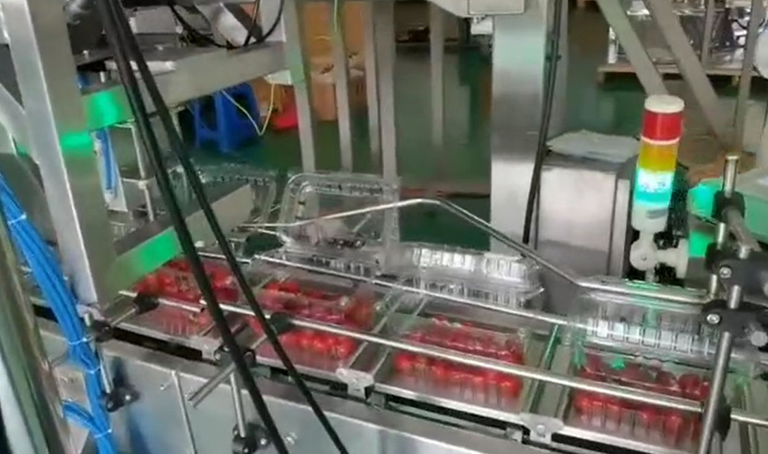Weigher SUS304 Multihead αυτόματο σύστημα ζυγίσματος και συσκευασίας για παγωμένα τα κεράσι φρούτα στα κιβώτια
