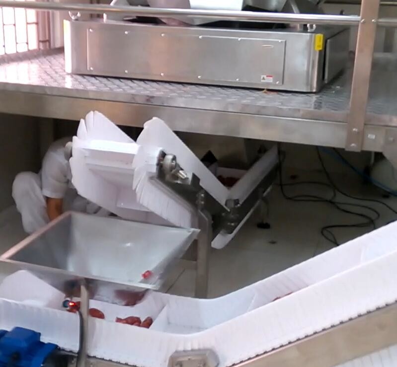 5000g Weigher Multihead χοανών μηχανή συσκευασίας για τη βιομηχανία 60 εργοστασίων τροφίμων ζάχαρη BPM