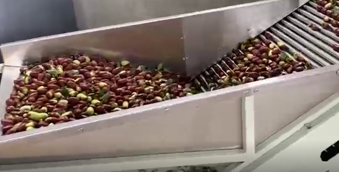 Jujubes χάλυβα άνθρακα 220V ταξινομώντας γραμμή παραγωγής ταξινομώντας μηχανών