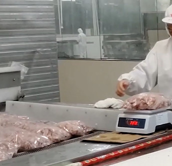 20 τσάντα/ελάχιστη Weigher Multihead μηχανή συσκευασίας για το παγωμένο προϊόν κόκκαλων κρέατος