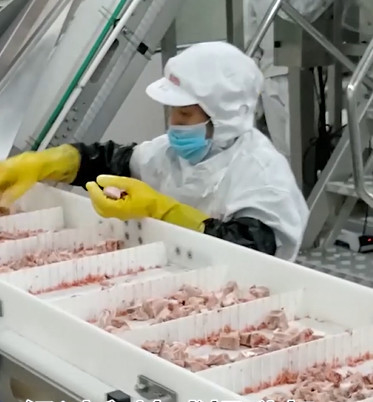 20 τσάντα/ελάχιστη Weigher Multihead μηχανή συσκευασίας για το παγωμένο προϊόν κόκκαλων κρέατος