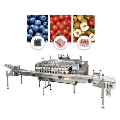 Fully Automatic Blueberry Clamshell Weighing Filling Packing Machine With Box Dispenser