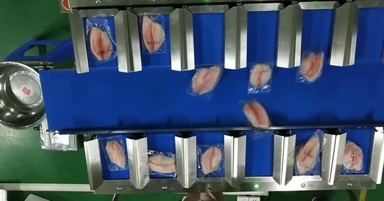 TOUPACK 12 επικεφαλής Weigher ζωνών 30WPM Weigher ζωνών μεταφορέων συστημάτων για τα θαλασσινά