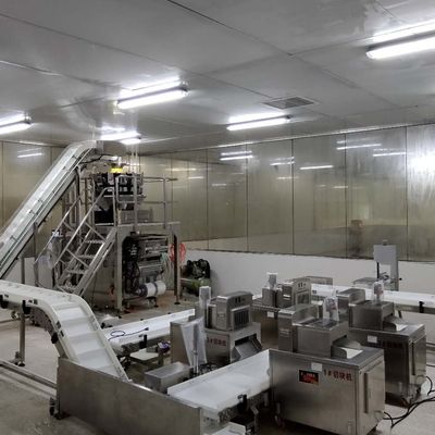 ISO9001 ταξινομώντας σύστημα ζωνών μεταφορέων