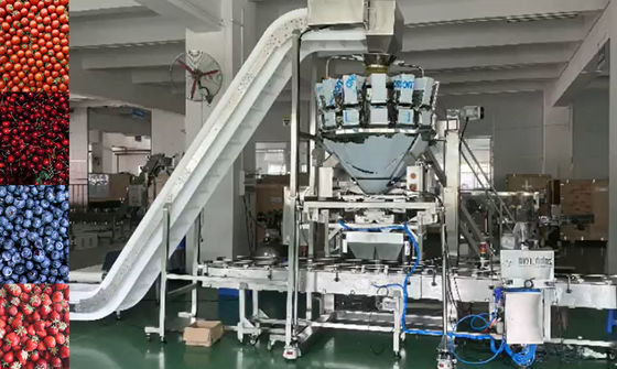 Weigher SUS304 Multihead αυτόματο σύστημα ζυγίσματος και συσκευασίας για παγωμένα τα κεράσι φρούτα στα κιβώτια
