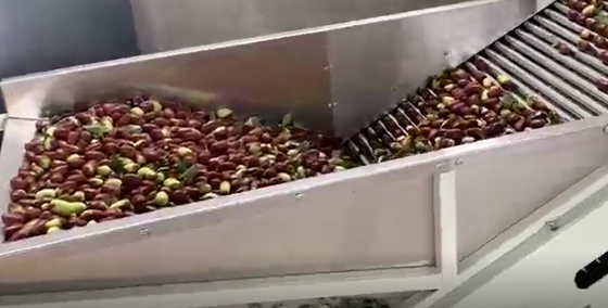 Jujubes χάλυβα άνθρακα 220V ταξινομώντας γραμμή παραγωγής ταξινομώντας μηχανών