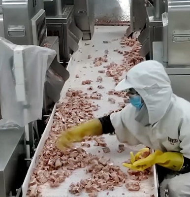 20 τσάντα/ελάχιστη Weigher Multihead μηχανή συσκευασίας για το παγωμένο προϊόν κόκκαλων κρέατος