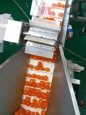 Πολυ Weigher λέκιθος μηχανών κενής συσκευασίας που ταξινομεί και που μεταβιβάζει το πρόγραμμα