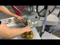 γεωργικό προϊόν Καθαρή συσκευασία και ζύγιση