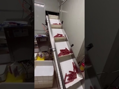 Αυτόματο σύστημα ζύγισης και μεταφοράς για λουκάνικα μακράς μορφής, χοτ ντογκ