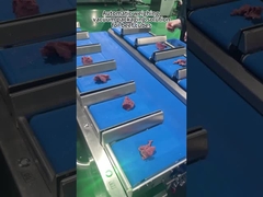 Μηχανή συσκευασίας με πολλαπλές κεφαλές με ζυγαριά κρέατος