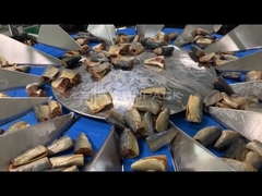 Το TOUPACK 14 κεφαλής πολυκεφαλής ζυγός για ζύγιση ψαριών