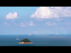 Κατασκευαστής ζυγιστών πολλαπλών κεφαλιών