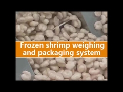 Πολυκεφαλής συσκευή συσκευασίας ζυγίσματος για σακούλα Doypack