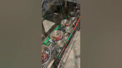 Συσκευαστική γραμμή ζύγισης τροφίμων για παπαγάλους με 32 κεφάλια